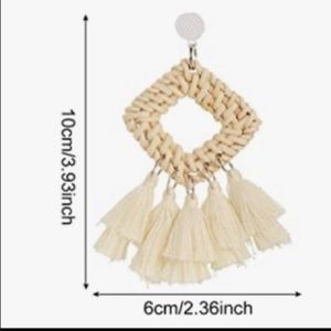 Rattan earrings